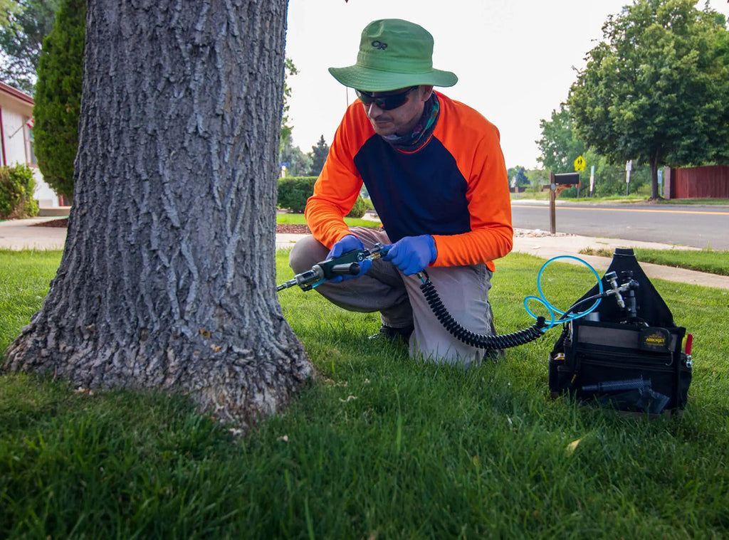 How to protect your trees from borers and other silent killers